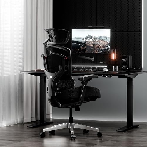 Flexispot E7 (when the budget appears)
