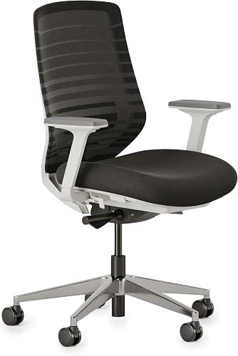 Branch Ergonomic Chair (compact)