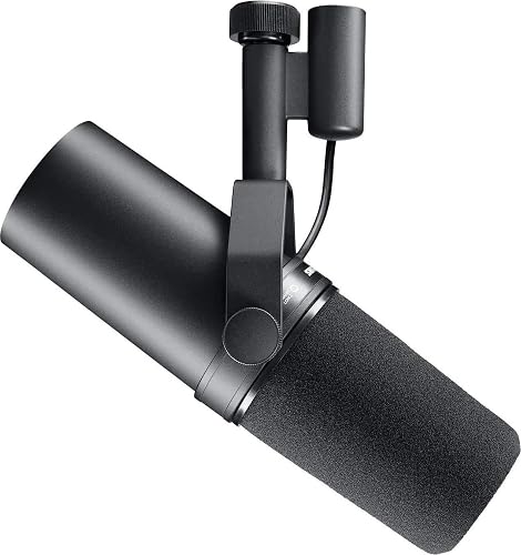 Shure SM7B / Electro-Voice RE20